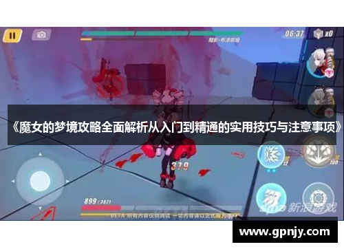 《魔女的梦境攻略全面解析从入门到精通的实用技巧与注意事项》